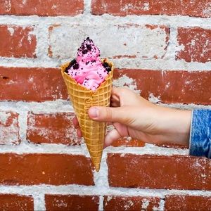 Meet your Posher, Annie